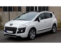 peugeot-3008-mk1.jpg